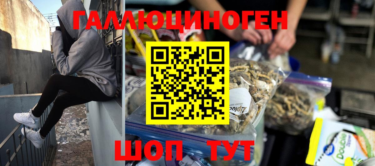 Псилоцибиновые грибы мицелий Конаково