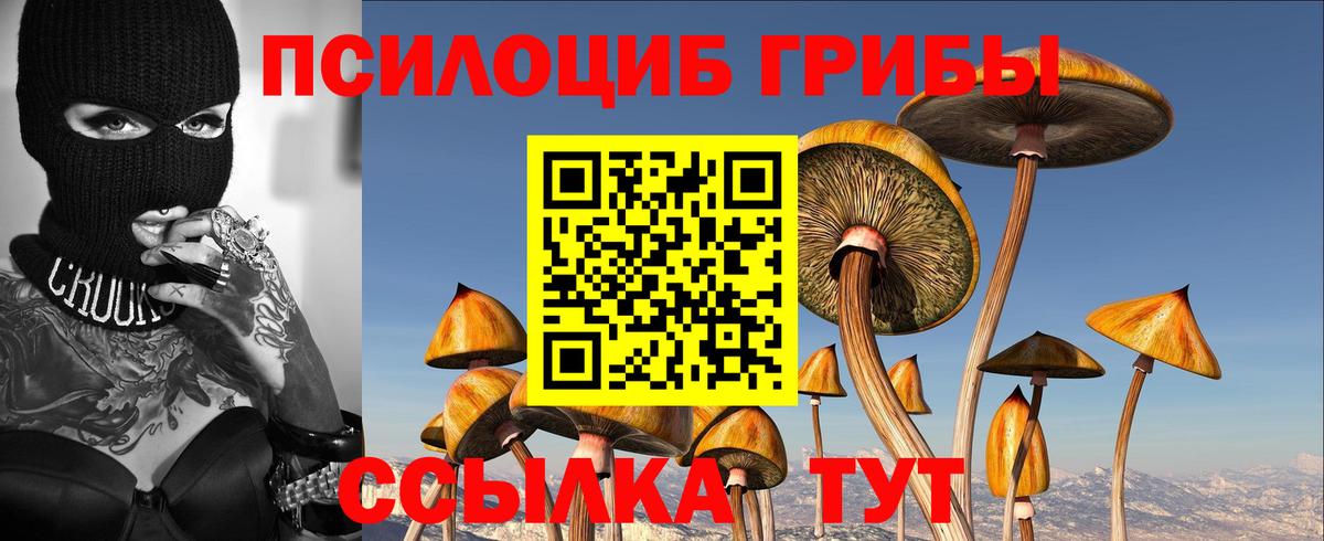 закладки  Вход с VPN  Конаково  Псилоцибиновые грибы ЛСД  Псилоцибиновые грибы Psilocybine cubensis 